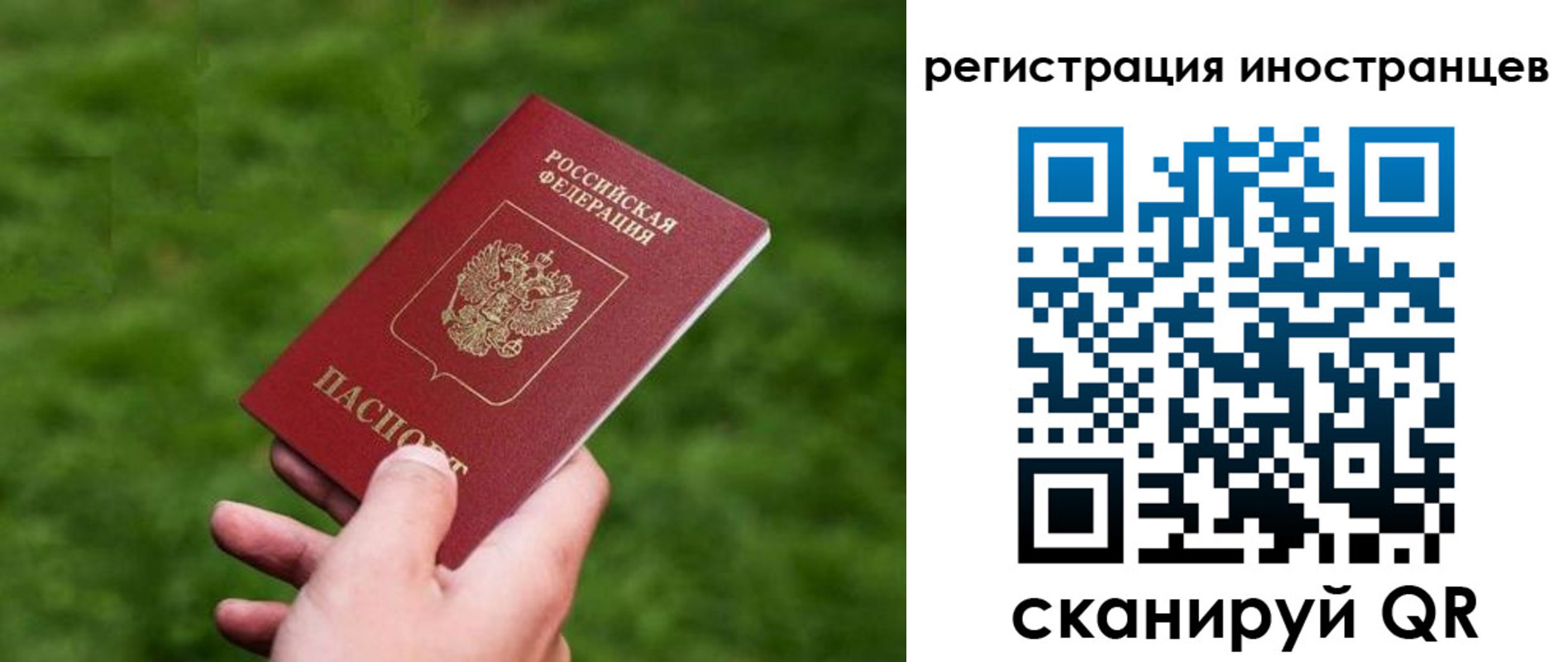 прописка ребенка в Каменке